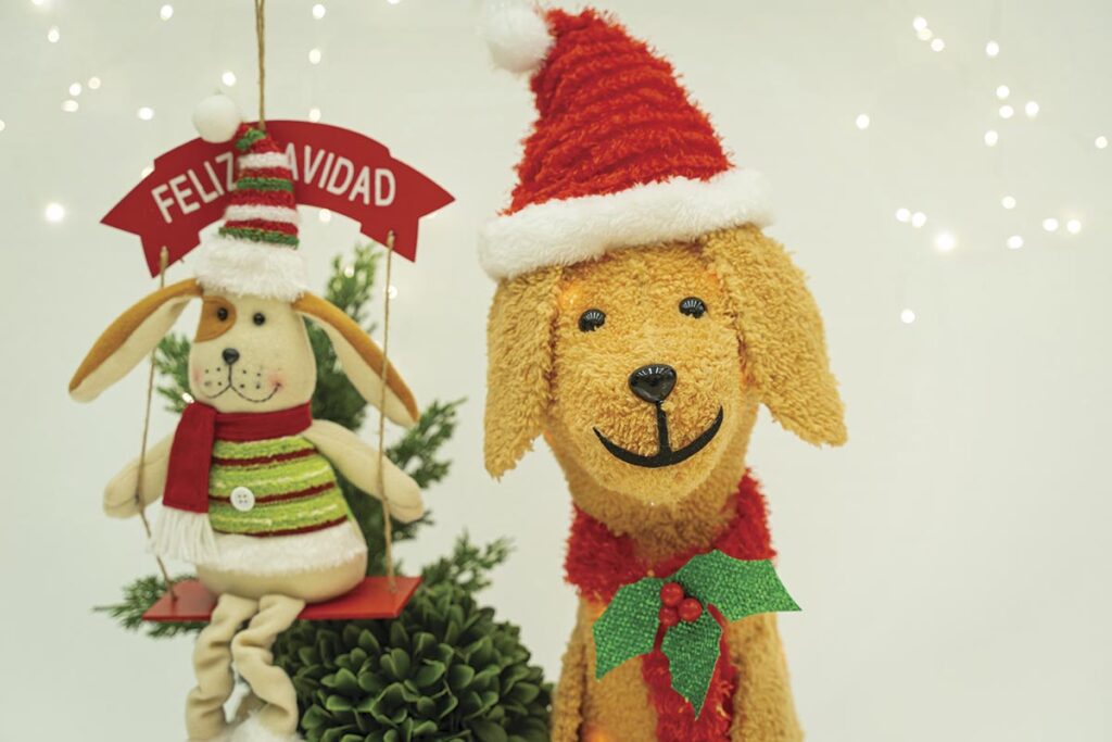 Los Nuevos Amigos de Rudolph | Miró Christmas | Decoración Navideña